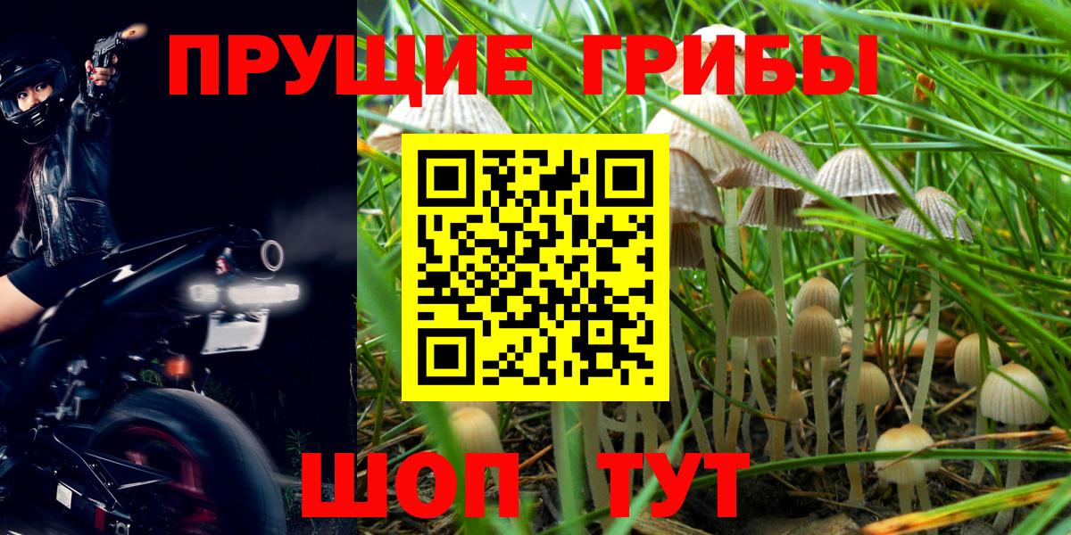 Киреевск  Галлюциногенные грибы GOLDEN TEACHER  Вход с VPN  Псилоцибиновые грибы мухоморы 