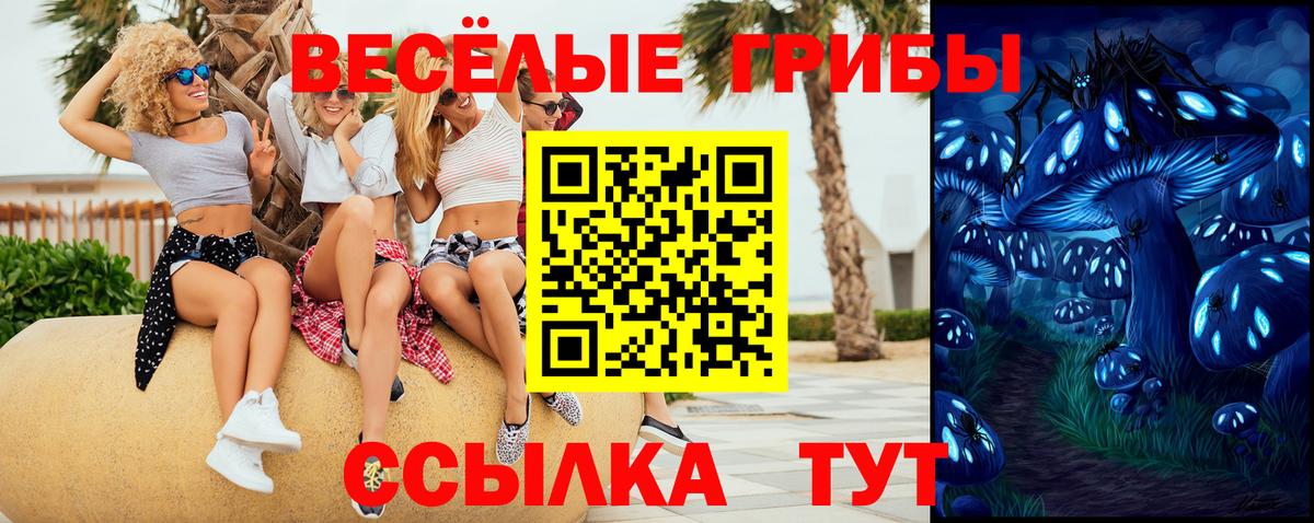 Псилоцибиновые грибы прущие грибы Киреевск